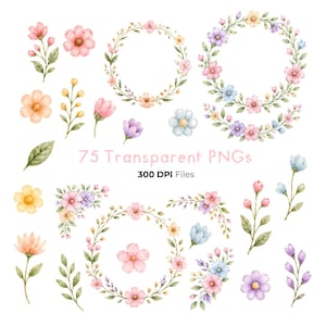 Op de afbeelding: Een verzameling aquarel bloemenillustraties met losse bloemen, bebladerde stengels en cirkelvormige kransen in roze, paarse, gele en blauwe tinten. De tekst 75 Transparent PNGs 300 DPI Files staat gecentreerd tussen de botanische elementen.