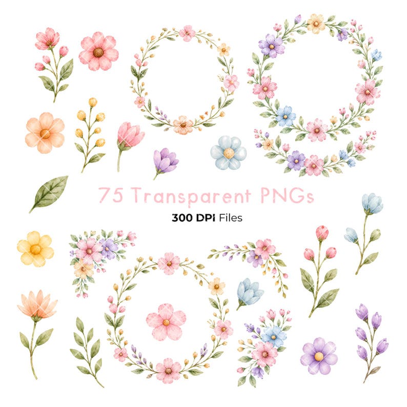 Op de afbeelding: Een verzameling aquarel bloemenillustraties met losse bloemen, bebladerde stengels en cirkelvormige kransen in roze, paarse, gele en blauwe tinten. De tekst 75 Transparent PNGs 300 DPI Files staat gecentreerd tussen de botanische elementen.