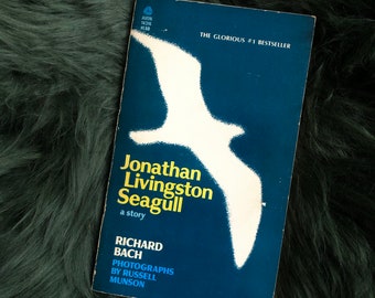 1970s Paperback / Jonathan Livingston Seagull / Inspirational Literature