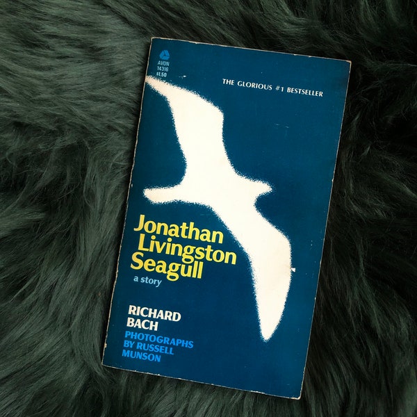 1970s Paperback / Jonathan Livingston Seagull / Inspirational Literature