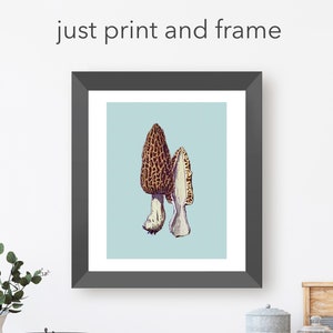 Morel Mushroom Digital Download Mushroom Art Sky Blue Cottagecore, Botanical Nature Goblincore Vintage Morel Mushroom Printable Art Forager