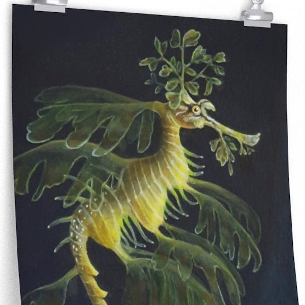 Sea Dragon Poster, framable print, ocean art, sea life, marine life, diver gift, leafy sea dragon, sea horse, nautical, Sally Chernenko