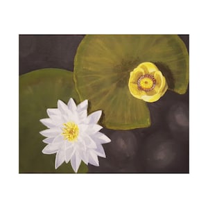 Water Lily Art Print: Fine Art Paper, Ready to Frame or Hang