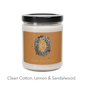 Softly Fresh Soy Wax Candle Natural Fresh Scent Clothesline Clean Ingredients Cozy Eco-friendly made in USA Secret Santa Natural Soy Wax