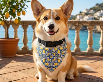 Lemon Dog Bandana Collar | Mediterranean Blue Yellow Adjustable No Tie Pet Scarf | Summer Dog Mom Gift