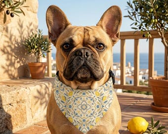 Lemon Dog Bandana Collar | Mediterranean Blue Yellow Adjustable No Tie Pet Scarf | Summer Dog Mom Gift