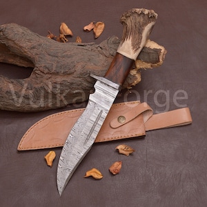 Puede incluir: Un cuchillo de hoja fija con una hoja de acero de Damasco estampada, una sección de mango de madera oscura y un pomo de asta texturizado. El cuchillo incluye una funda de cuero color canela con un cierre de botón de metal. El texto Vulka Forge es visible.