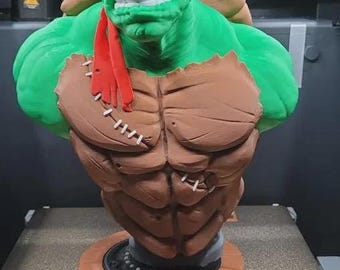 3d printed TMNT Bust (EASTMAN) MultiColorv