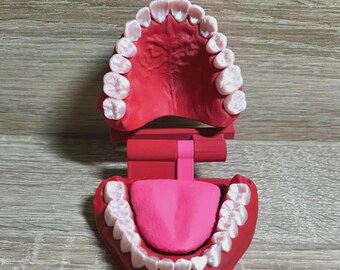 3D-geprinte veelkleurige tandmodellen