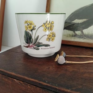 May include: A white ceramic bowl with a green rim featuring a botanical illustration of yellow Primula Elatior flowers and green leaves on the front. The text Primula Elatior is printed in black lettering below the floral design on the bowl.