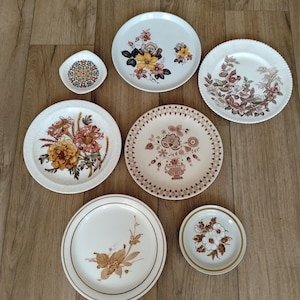 Może przedstawiać: Kolekcja sześciu ceramicznych talerzy i jednego małego naczynia z różnorodnymi motywami kwiatowymi w odcieniach brązu, żółci, pomarańczu i zieleni. Zestaw zawiera okrągłe talerze z falistymi brzegami, ilustracje botaniczne i wzory kwiatowe.