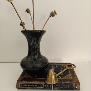 May include: A dark green ceramic vase with a mottled finish containing four dried poppy seed pods. The vase sits on a book titled Sidste Forelæsning by Randy Pausch with Jeffrey Zaslow, alongside a brass tea infuser with a conical base and handle.