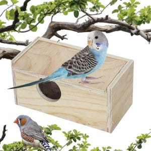 May include: A rectangular light-colored wooden bird nesting box with a circular entrance hole. A blue and white budgerigar with black wing markings stands on top of the box, while a grey and brown zebra finch is perched on a branch below.