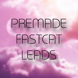 May include: A digital graphic with the words "PREMADE FASTCAT LEADS" in black, stacked vertically against a blurred pink and purple cloudy background.