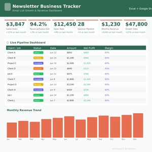 Newsletter Spreadsheet | Email List Growth, Subscriber Tracker and Sponsorship Revenue | Excel and Google Sheets