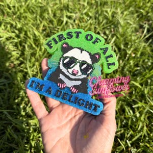 May include: A glittery, shaped car air freshener featuring a cartoon opossum wearing black sunglasses. The top section is bright green with the black text FIRST OF ALL, and the bottom blue section reads I'M A DELIGHT in black lettering.