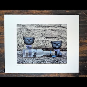 Bad News Bears" Toy Photography Art Print - Framed Limited Edition Signed 17/100
