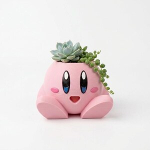 May include: A pink, rounded planter shaped like a cartoon character with large black and blue eyes, small pink cheeks, and an open mouth. A green succulent and a trailing string of pearls plant are growing out of the top of the planter.