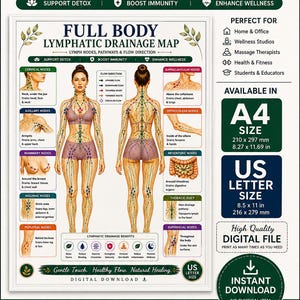 May include: A digital educational poster titled Full Body Lymphatic Drainage Map featuring anatomical illustrations of the human body with highlighted lymph nodes and flow pathways. Includes text labels for node locations and flow directions.