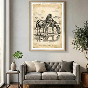 Antique Zebra Print - Etsy