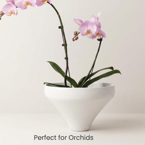 Peut inclure: Un pot en céramique blanc avec une base large et effilée contenant une orchidée phalaenopsis aux fleurs rose clair et aux feuilles vert foncé. Le texte "Minimalist Ceramic Pot" et "Perfect for Orchids" est visible en haut et en bas.