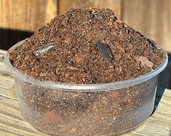 Moss Terrarium Soil