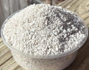 May include: A clear plastic container filled with white perlite, a horticultural growing medium. The perlite has a coarse, granular texture and is used to improve soil aeration and drainage. The container sits on a wooden surface.