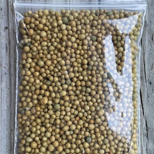 Slow Release Fertilizer - 15-9-12 - 6 Month Fertilizer - NOT FOR MOSS!