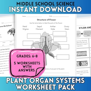 Plant Organ Systems Worksheets | Middle school science | Biology worksheets | Flower Labeling Worksheet | PDF