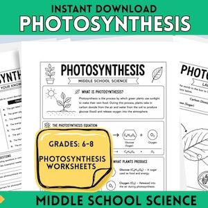 Photosynthesis Worksheets | Middle School Biology Science Activity (PDF Download)