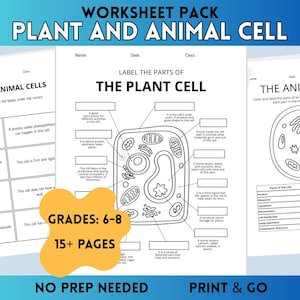 Fichas de trabajo sobre células vegetales y animales / Biología para la escuela secundaria, Ciencias para la educación en el hogar (Descarga en PDF)