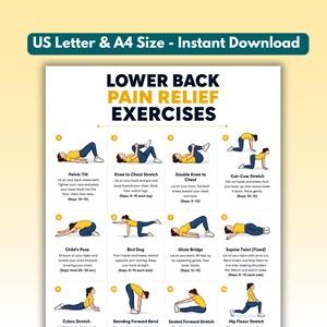 Affiche d'exercices de soulagement de la douleur au bas du dos, tableau des exercices d'étirement de la sciatique, guide d'entraînement pour la mobilité du dos, tableau d'exercices de physiothérapie