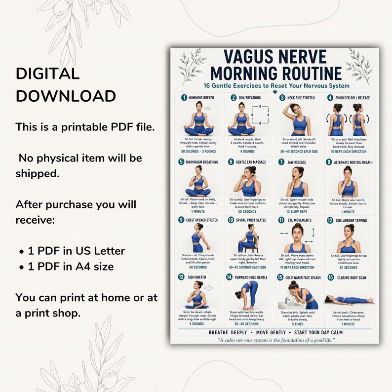 May include: A digital printable chart titled Vagus Nerve Morning Routine featuring 16 numbered illustrations of a person in blue athletic wear performing gentle exercises. The text includes instructions for breathing, stretching, and relaxation techniques.