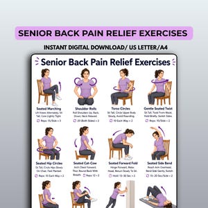 May include: A digital instructional chart titled Senior Back Pain Relief Exercises featuring illustrations of a person in a purple shirt performing various seated and standing movements on chairs and a mat, with text instructions for each exercise.