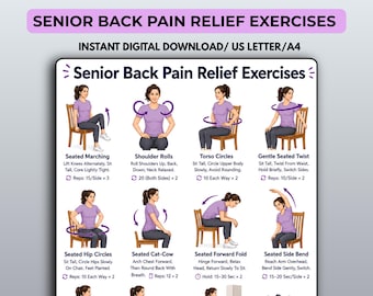 May include: A digital instructional chart titled Senior Back Pain Relief Exercises featuring illustrations of a person in a purple shirt performing various seated and standing movements on chairs and a mat, with text instructions for each exercise.