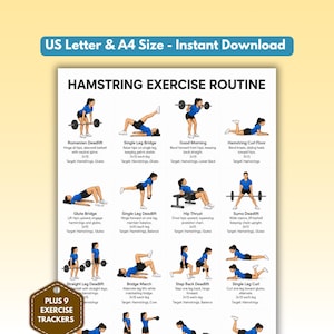 May include: A white informational poster titled Hamstring Exercise Routine featuring twelve illustrations of a person in a blue shirt and black shorts performing various exercises with text descriptions, set counts, and target muscle groups.