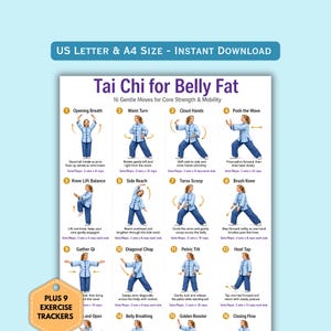 Tai Chi for Belly Fat Poster, Core Strength Exercise Chart, Printable Tai Chi Workout Guide, Balance Mobility Wall Art, Home Fitness