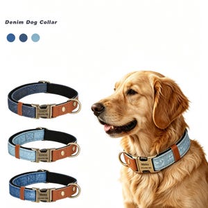 May include: Three denim dog collars in varying shades of blue, each featuring a brown leather-like accent, a gold-toned metal buckle with engraved name and phone number, and a D-ring. A golden retriever wears one of the light blue collars.