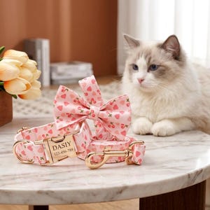 May include: A light pink pet collar and leash set featuring a repeating strawberry pattern, a matching bow tie, and a gold-toned metal buckle engraved with the text DASIY and 123-456-789, accompanied by a gold-toned metal swivel leash clip.