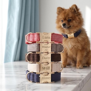 May include: A stack of five fabric dog collars in red, grey, brown, cream, and navy blue, each featuring a gold-tone metal buckle engraved with names including Luna, Windsor, Daisy, Will, and Honey, with a gold D-ring for leash attachment.