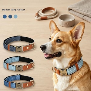 May include: Three denim dog collars with brown leather accents, brass buckles, and metal nameplates engraved with names and phone numbers. One collar is worn by a tan and white dog. The text Denim Dog Collar is visible at the top left.