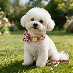 Custom Engraved Floral Dog Collar, Removable Pearl Flower Pet Collar, Collar & Leash Set with Gold Hardware, Multiple Floral Prints