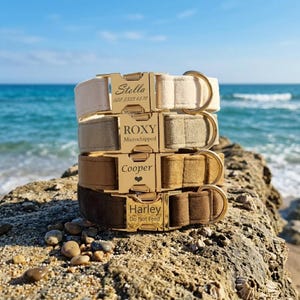 May include: A stack of four pet collars in shades of cream, beige, tan, and brown. Each collar features a gold-toned metal side-release buckle engraved with names and text: Stella 022 3333 6578, ROXY Microchipped, Cooper with a heart, and Harley Do Not Feed.