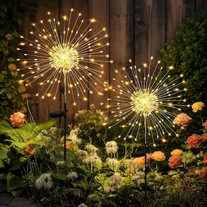 May include: Two solar-powered garden lights featuring spherical, firework-like designs with thin, radiating wire branches tipped with warm white LED lights. Each light is mounted on a slender black stake with a small solar panel at the base.