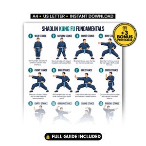 Pode incluir: Um cartaz instrutivo sobre os fundamentos do Kung Fu Shaolin com doze ilustrações numeradas de uma figura em uniforme azul escuro realizando várias posturas, incluindo Wuji, Horse e Dragon, com texto descritivo para cada movimento.