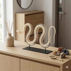 Può includere: Una scultura di scheletro di serpente color crema montata su una base rettangolare in metallo nero. La struttura scheletrica è curva in un motivo a S, sostenuta da due sottili aste metalliche nere fissate alla base, creando un oggetto da esposizione.