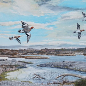 Scottish art print Spey Bay Moray Firth Wigeon ducks in flight