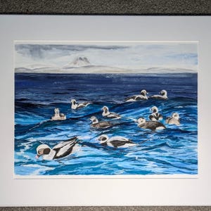 Moray Firth Print, Print with Ducks, Moray Firth, Moray Coast Trail, Scotland Seascape Print, Signed Art Print