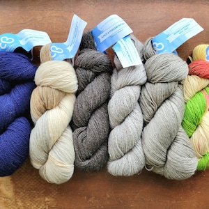 May include: Six skeins of yarn in various colors, including navy blue, beige, gray, light gray, and green with orange accents. The yarn is arranged in a row on a wooden surface. Each skein has a label with the brand name "The Loopy Ewe" and the yarn type.