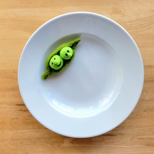Vintage William Sonoma Pasta Bowl - Etsy
